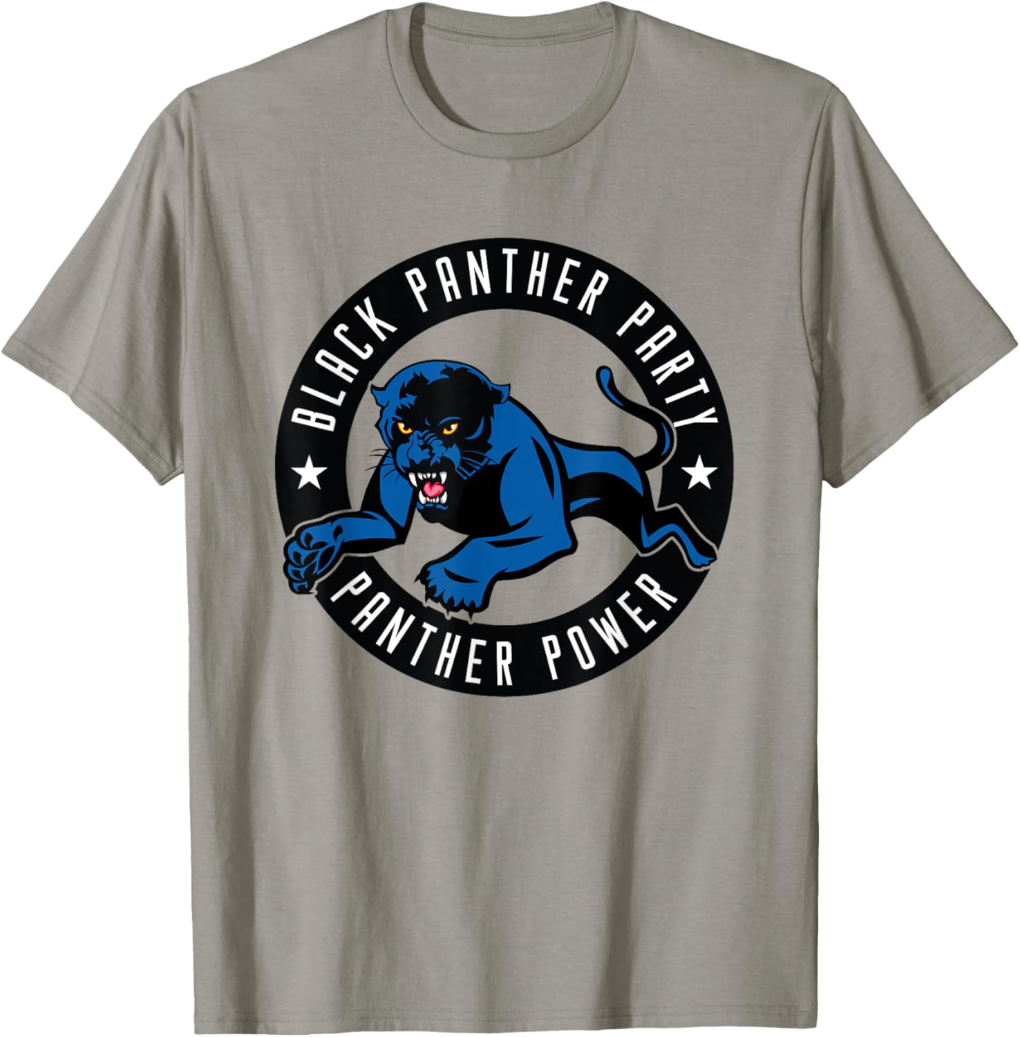 Black Panthers Social Justice Political Protest