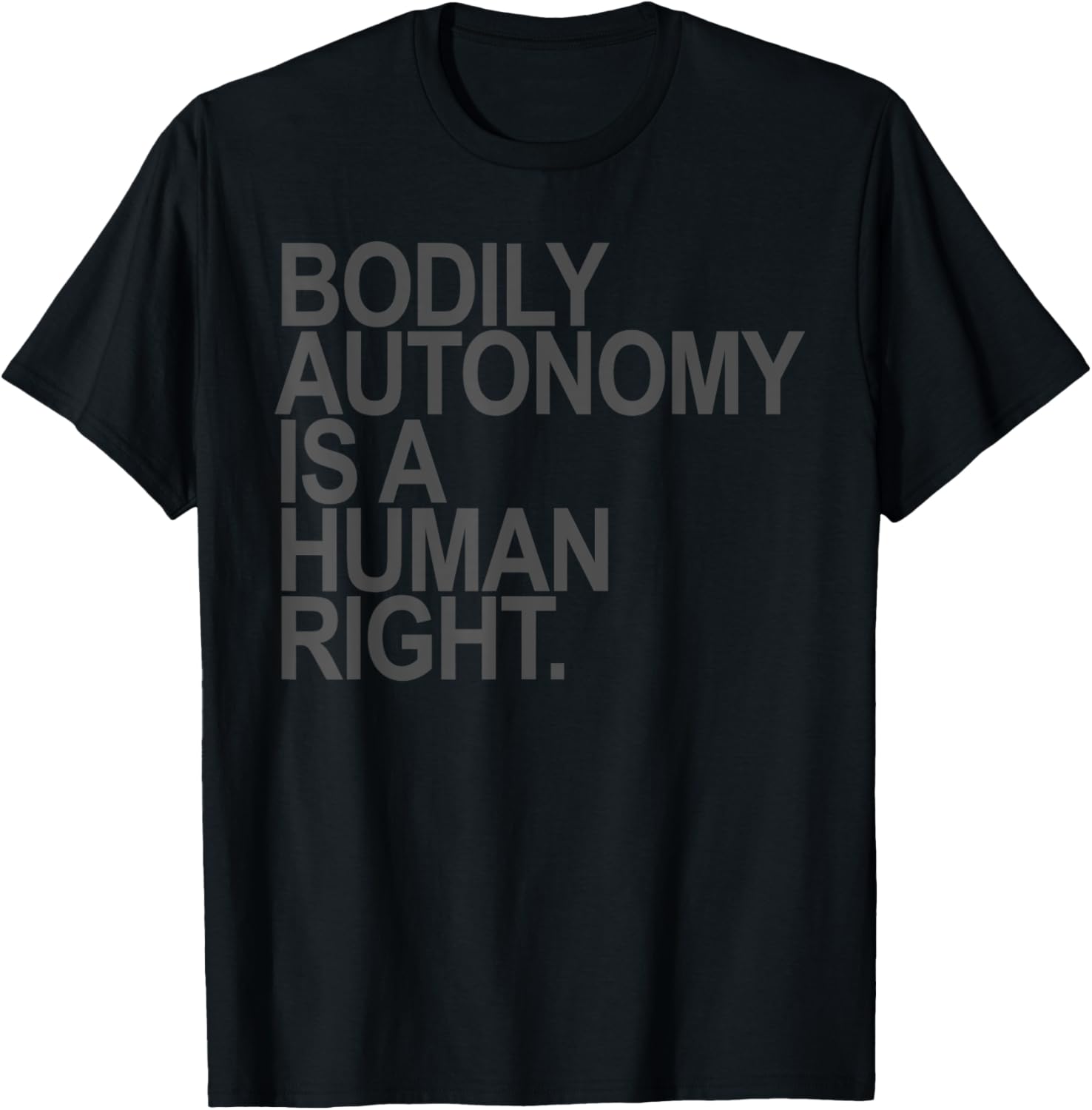 BODILY AUTONOMY IS A HUMAN RIGHT   subtle gray